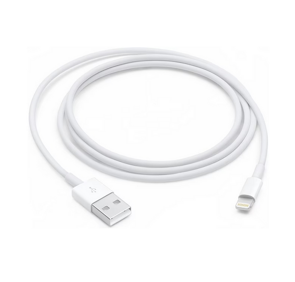 Apple Lightning auf USB-A Kabel (1 m)