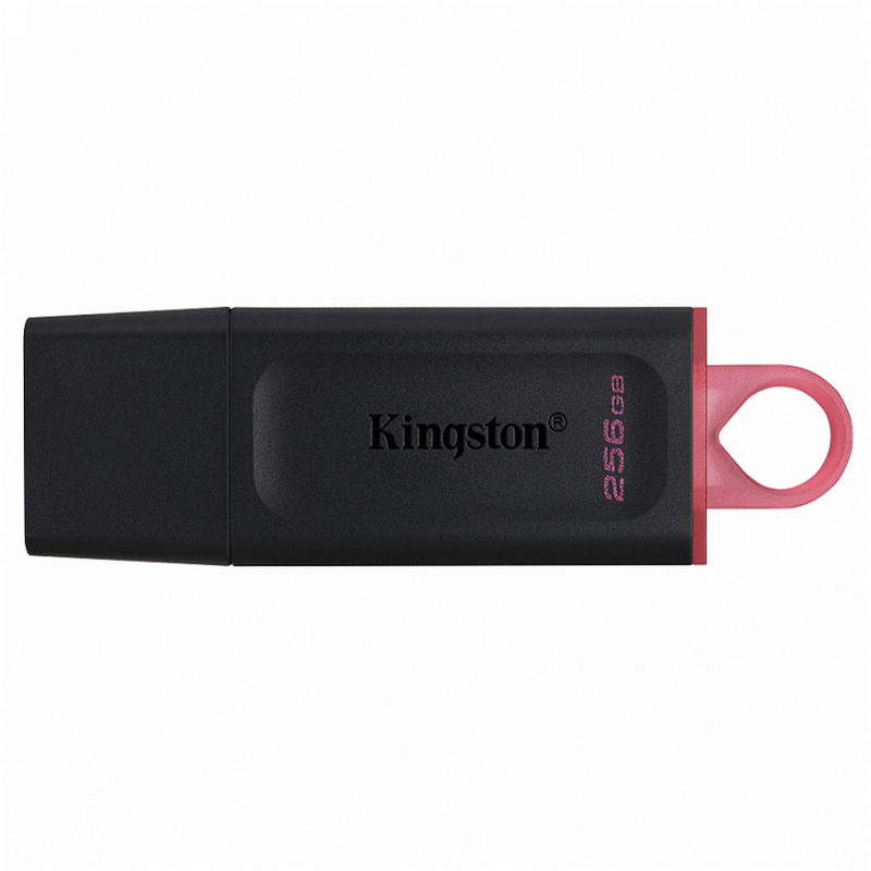 Kingston Pendrive / USB Stick 256Gb 3.2 DTX/256GB (Schwarz)