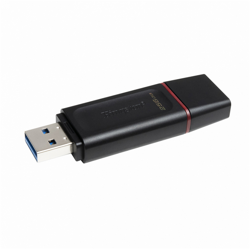 Kingston Pendrive / USB Stick 256Gb 3.2 DTX/256GB (Schwarz)