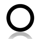 Backkamera / Rückkamera Linse für iPad 5 (2017) (10 pack) -