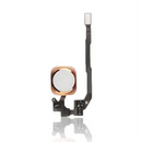 Home Button mit Flex Kompatibel für iPhone Se (2016) (Rose